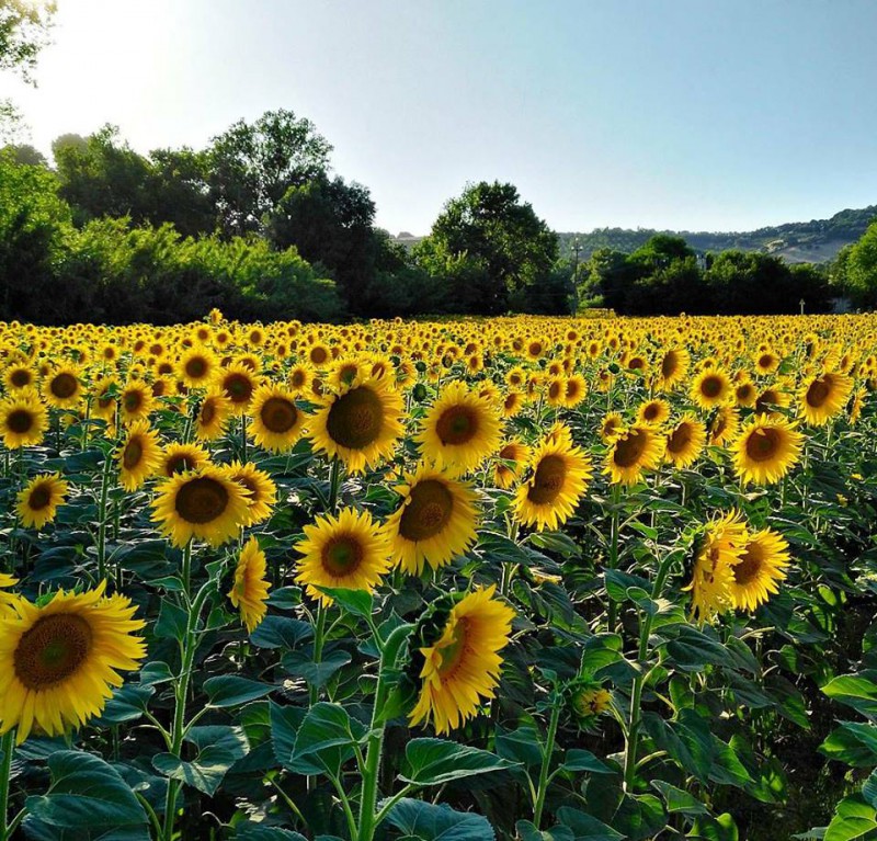 Image:  Una valigia ricca di sogni che tornerò a riempire e condividere. Promesso!