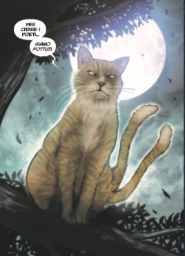 gatto